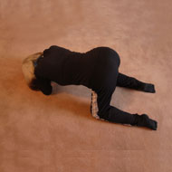 アニマルのポーズ